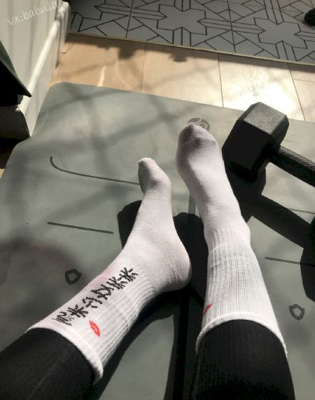 成人网在线观看