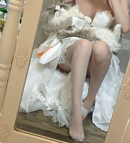 北条麻妃免费观看
