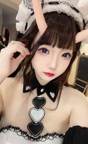 后宫露营第二季无增减