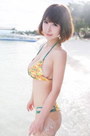 电视剧暗算全集免费观看