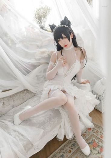 播种欧吉桑免费观看全集