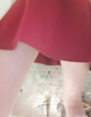动漫后宫露营