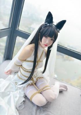 九重紫电视剧免费观看