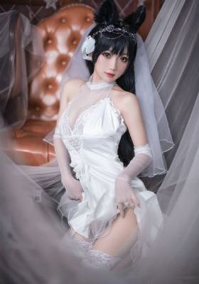 封神榜86版电视连续剧免费观看