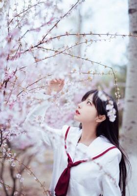 韩剧姐夫